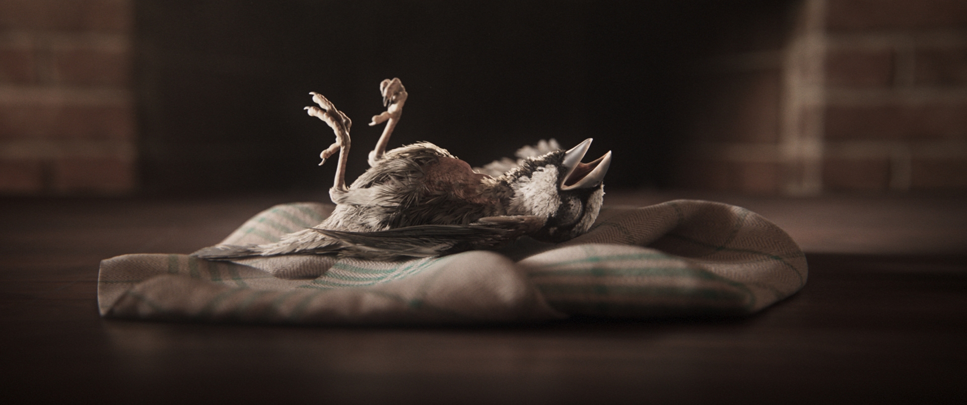 ASparrowsSong_Stills_005