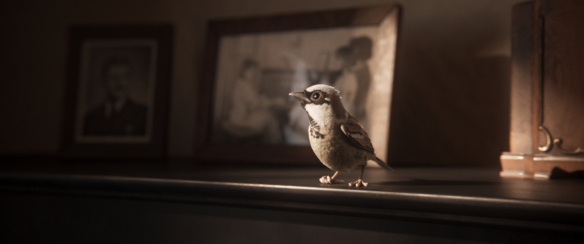 ASparrowsSong_Stills_006