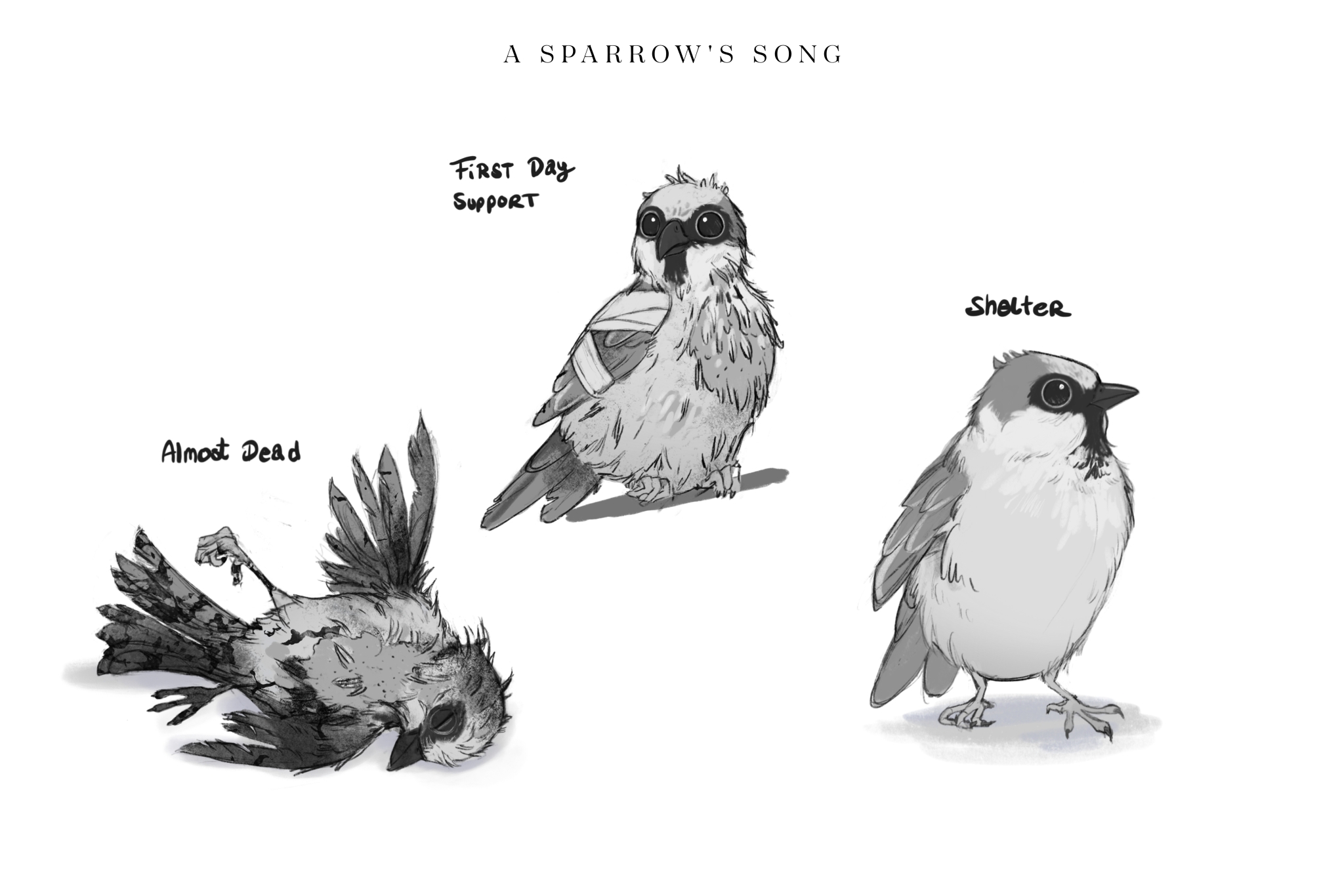 sparrow_states_01 sparrow_states_01